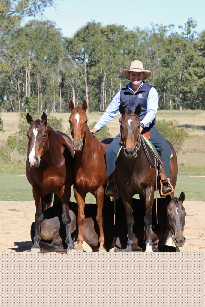 Guy McLean and his Australian stock horses. 3 horses standing over 1